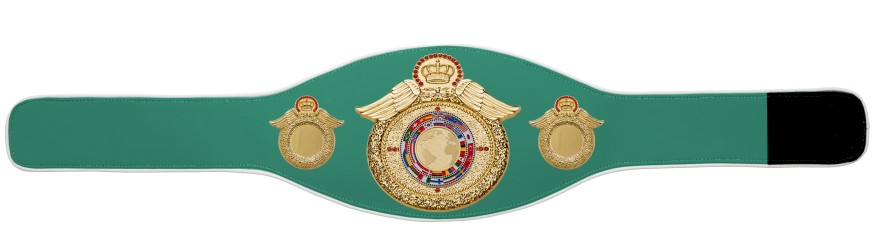 CHAMPIONSHIP BELT PROWING/G/FLAGG - AVAILABLE IN 6+ COLOURS